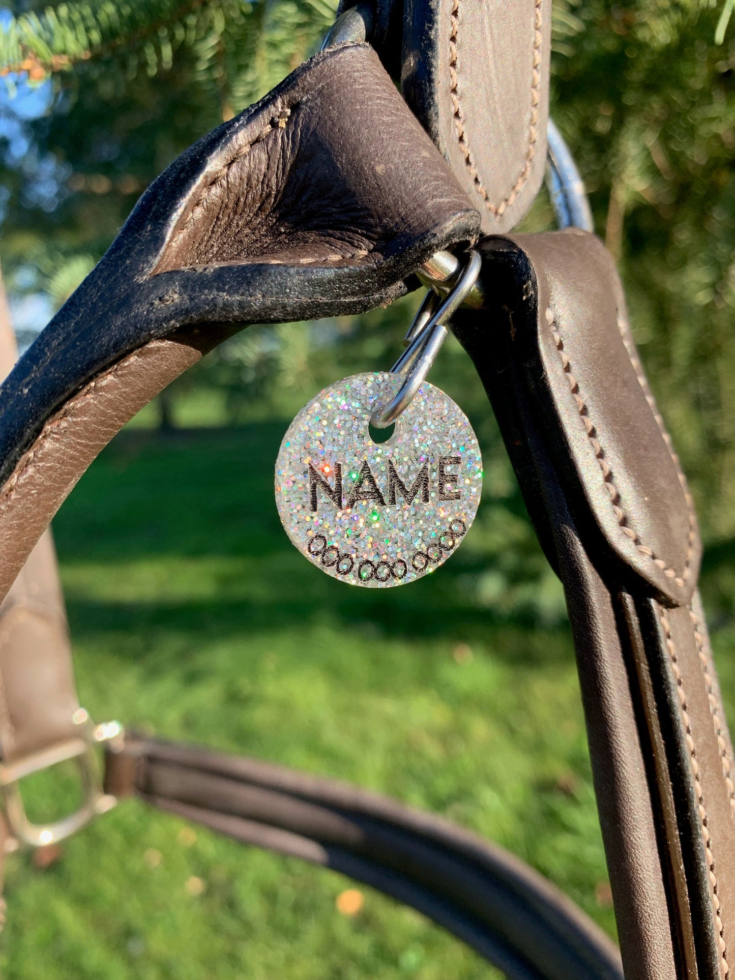 Specialty Horse Bridle Halter Tag Circle